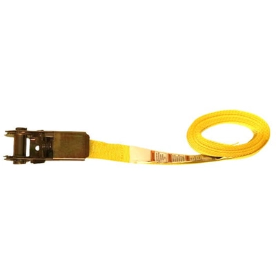 ANCRA CARGO - SL47 - 1” x 13’ Endless Ratchet Tie-Down, Clamshell pa2