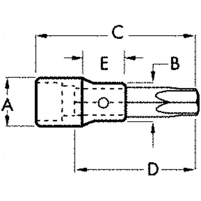 APEX TOOLS - 80451 - Drive T40 Torx Bit Socket pa2