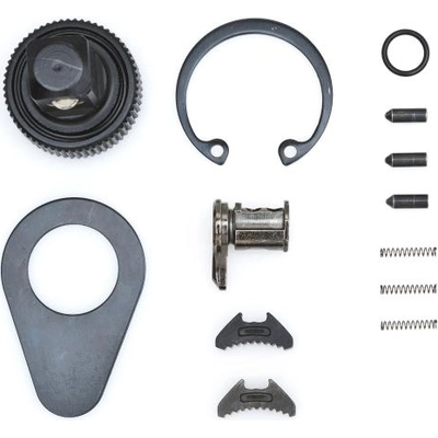 APEX TOOLS - 81339P - Non-Quick Release Dual Pawl Ratchet Repair Kit pa1