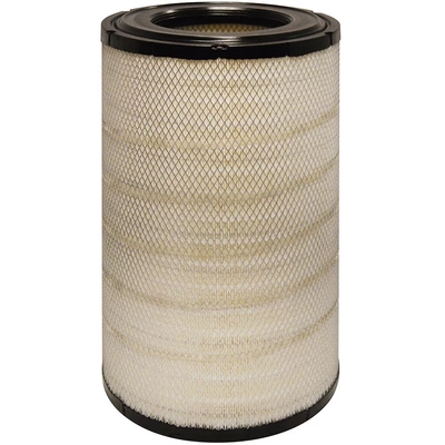 BALDWIN - RS30116 - Radial Seal Air Filter Elements pa1
