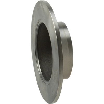 BREMBO - 25702 - Rear Disc Brake Rotor pa1