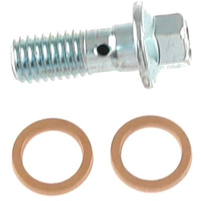 CARLSON - H9469-2 - Front Brake Hydraulic Banjo Bolt Kit pa1