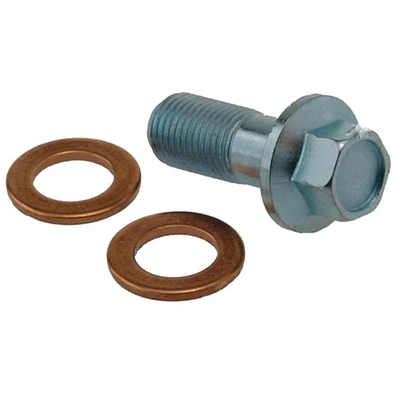 CARLSON - H9477-2 - Front Brake Hydraulic Banjo Bolt Kit pa1