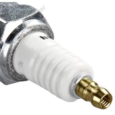 CHAMPION SPARK PLUG - 529 - Industrial Spark Plug pa3