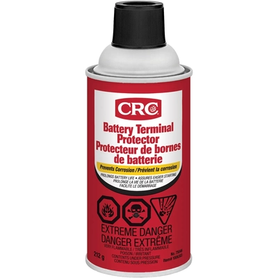 CRC CANADA CO. - 75046 - Battery Protector, 212g pa1