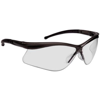 DYNAMIC SAFETY INTERNATIONAL - EP100BIO - Safety Glasses with Black Frame pa1