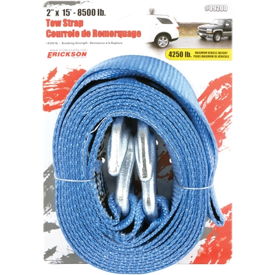 ERICKSON MANUFACTURING LTD. - 09200 - 2″ x 15′ – Tow Strap pa2