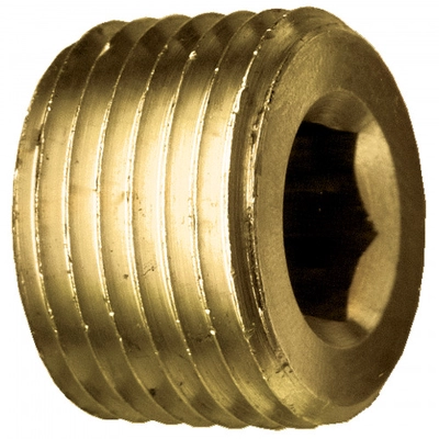 FAIRVIEW FITTING - 118B - Plug Hex Countersunk pa1