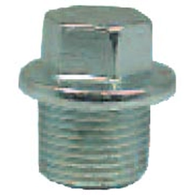 FMSI AUTOMOTIVE HARDWARE - 1009 - Oil Pan Drain Plug (Pack of 2) pa1