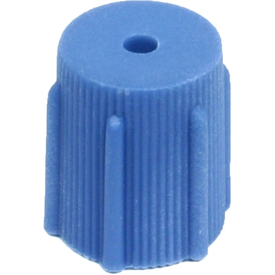 FMSI AUTOMOTIVE HARDWARE - 5043 - Low Side Service Port Cap pa1