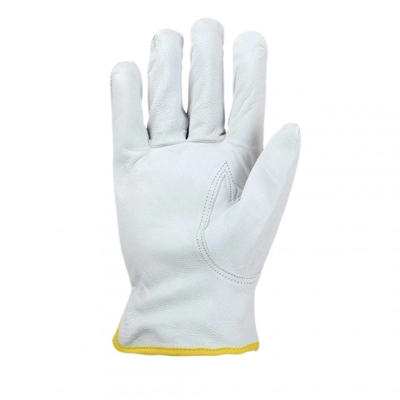 GROUPE BBH - 083378XL - Driver Gloves pa1