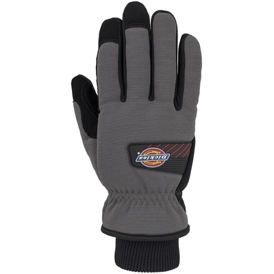 DICKIES - 789266DIXL - Gloves pa1