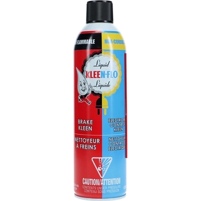 KLEEN-FLO - 313R - Brake Cleaner pa1