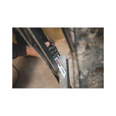 LENOX - 20553S418R - Reciprocating Saw Blade pa1