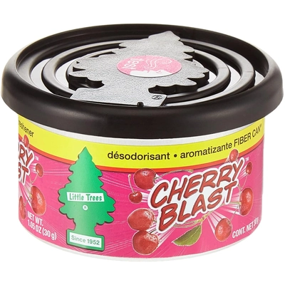 LITTLE TREES - UFC1781124 - Fiber Can Air Freshener pa3