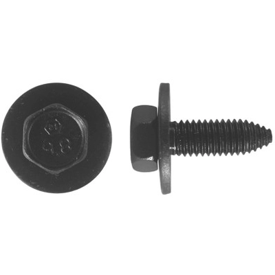PAPCO - 245-616 - 5/16"x1" Body Bolts pa1