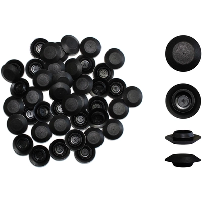 PRO-TEK - CPL12100 - 1/2 in. Plastic Plugs pa1