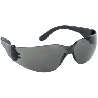 SAS SAFETY CORP. - 5343 - NSX Safety Eyewear pa1
