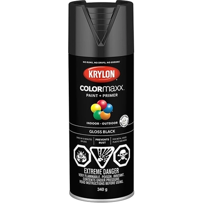 SHERWIN WILLIAMS - 45505 - Spray Paint pa1