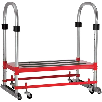 STECK - 20350 - The Pro Step pa2