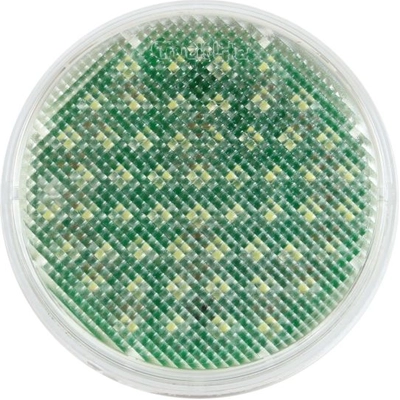 TRUCK LITE - 44207C - 44 Series, LED, 54 Diode, Round Clear, Dome Light pa1