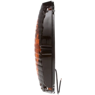 TRUCK LITE - 6501 - Signal-Stat Rear Turn Signal Incandescent Arrow Lens pa2