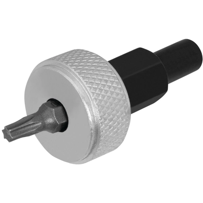 PERFORMANCE TOOL - W1216 - Ignition Module Tool with T20 pa1