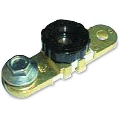 WIRTHCO - 20307 - Battery Disconnect Switch pa1