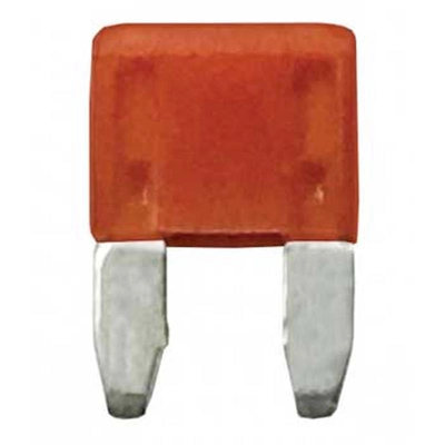 WIRTHCO - 24110 - 10 Amp MinBlade™ Fuse pa1