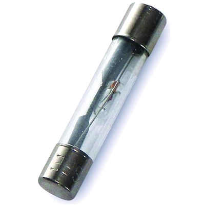 WIRTHCO - 24625 - 25 Amp AGC Glass Fuse pa1