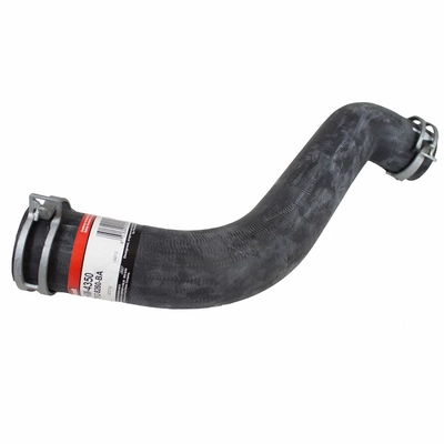 Tuyau de radiateur ou de refroidissement supérieur de MOTORCRAFT - KM4350 pa4