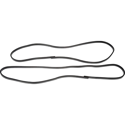 Valve Cover Gasket by DORMAN (HD SOLUTIONS) - 264-5120 pa1