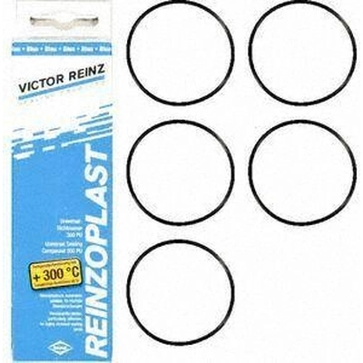 Valve Cover Gasket Set by VICTOR REINZ - 15-76741-02 pa1