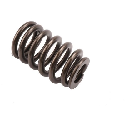 ACDELCO - 12686721 - Valve Spring pa2