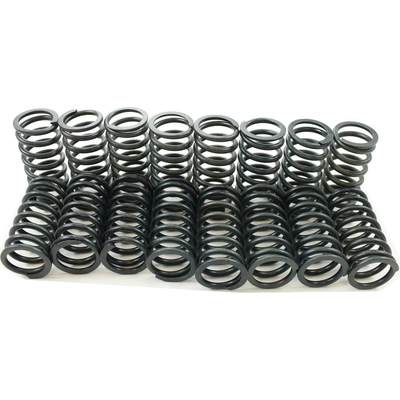 Valve Spring Set pa1