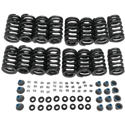 SKP - SKST2151 - Engine Valve Spring Kit pa5