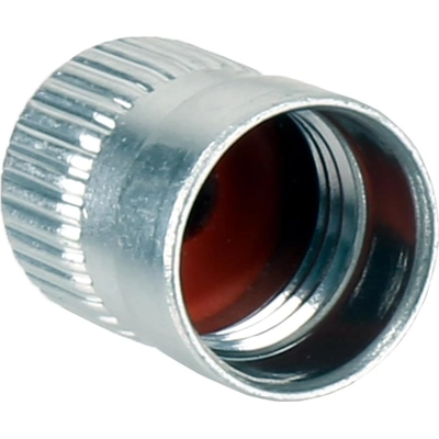 Valve Stem Cap by ACDELCO - 25731359 pa2