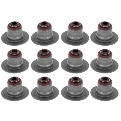 APEX AUTOMOBILE PARTS - AVS2074 - Valve Stem Seal Set pa1