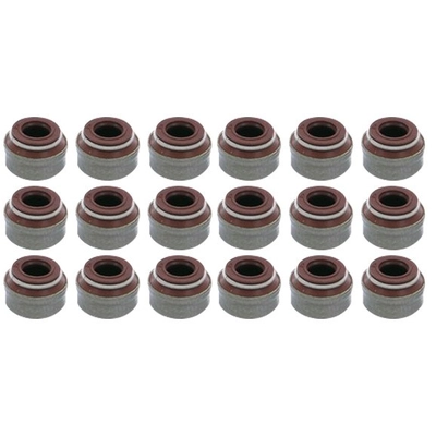 APEX AUTOMOBILE PARTS - AVS9014 - Engine Valve Stem Oil Seal Set pa1