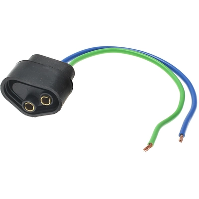 BWD AUTOMOTIVE - PT173 - Voltage Regulator Connector pa1