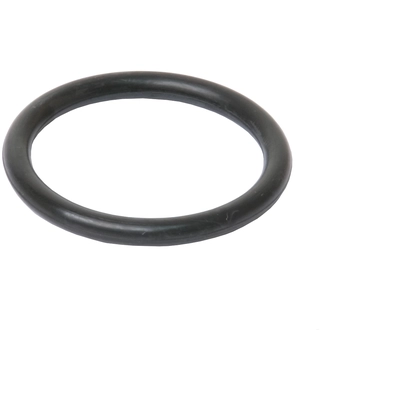 Water Pump Housing Gasket by URO - 11531710048 pa2