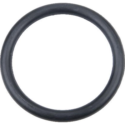 Water Pump Housing Gasket by URO - 11531710048 pa6