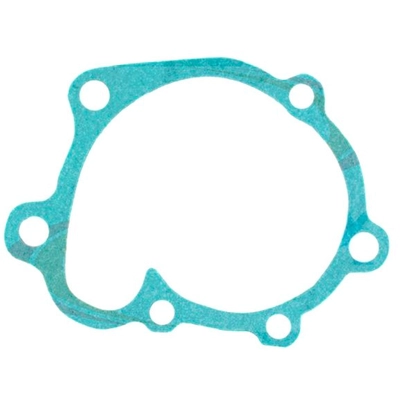 APEX AUTOMOBILE PARTS - AWP3066 - Engine Water Pump Gasket pa1