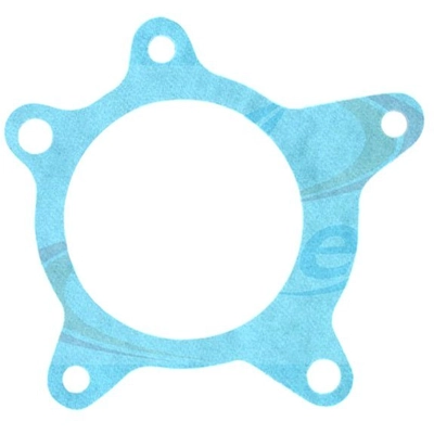 APEX AUTOMOBILE PARTS - AWP3282 - Engine Water Pump Gasket pa1