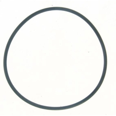 Water Pump Mounting Gasket by FEL-PRO - 35812 pa3