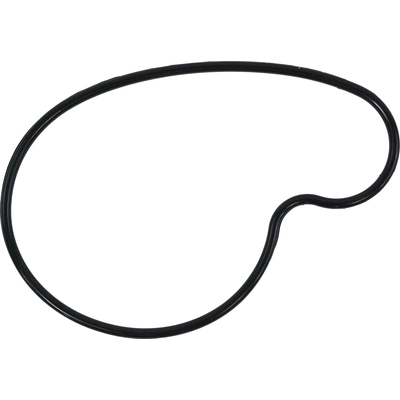 Water Pump Mounting Gasket by FEL-PRO - 36152 pa1