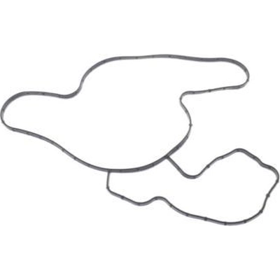 Water Pump Mounting Gasket by MOPAR - 68394131AA pa2