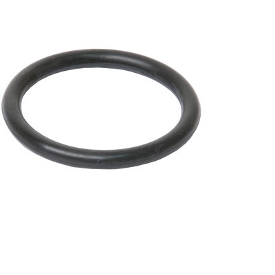 Water Pump Mounting Gasket by URO - 11531710048 pa2