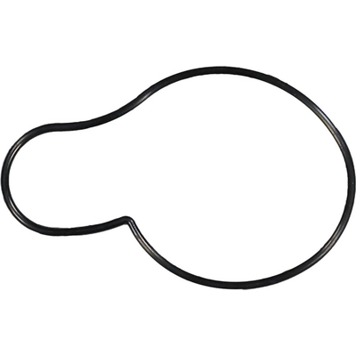 Water Pump Mounting Gasket by VICTOR REINZ - 71-13912-00 pa2