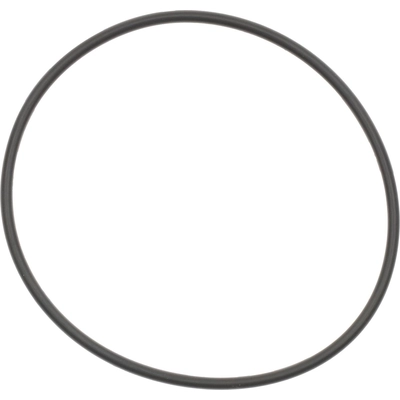 Water Pump Mounting Gasket by VICTOR REINZ - 71-14046-00 pa2